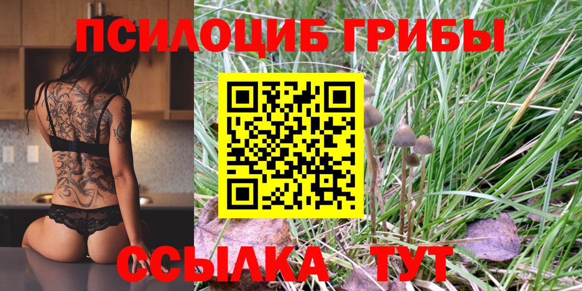 Псилоцибиновые грибы Psilocybine cubensis Михайловск