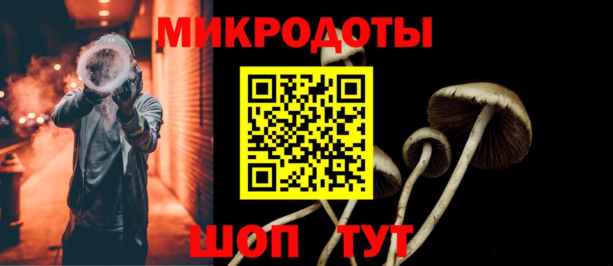 Псилоцибиновые грибы Magic Shrooms  Вход с VPN  Михайловск  Галлюциногенные грибы Magic Shrooms 